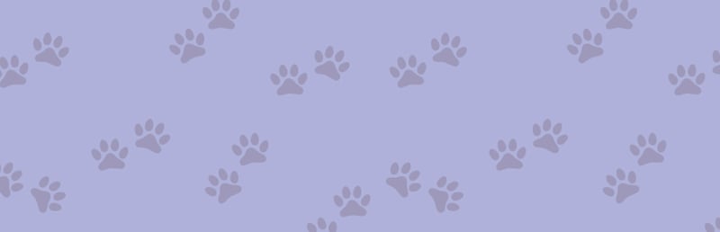 Official cover for 1001 Jigsaw. Cute Cats 4 on Steam