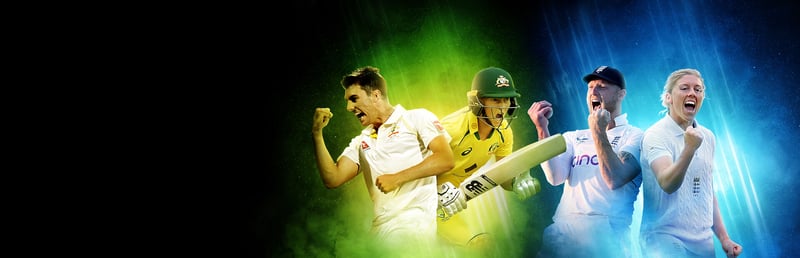 Official cover for Cricket 24 on Steam