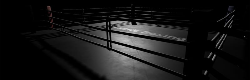 Official cover for Tactic Boxing on Steam