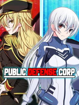 Boxart for Public Defense Corp