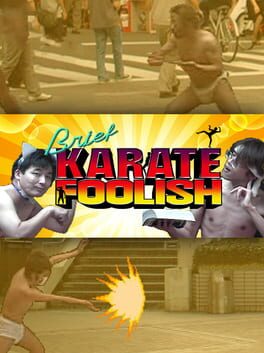 Boxart for Brief Karate Foolish