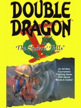 Boxart for Double Dragon V: The Shadow Falls