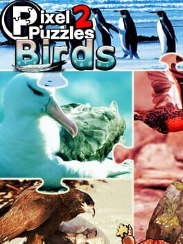 Boxart for Pixel Puzzles 2: Birds