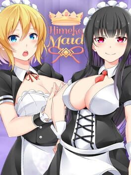 Boxart for Himeko Maid
