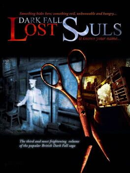 Boxart for Dark Fall: Lost Souls