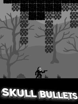 Boxart for Skull Bullets