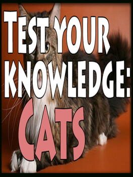 Boxart for Test your knowledge: Cats