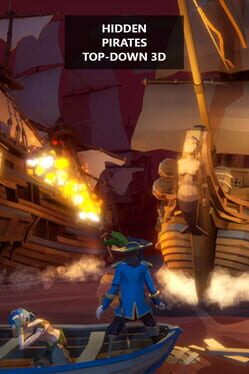 Boxart for Hidden Pirates Top-Down 3D