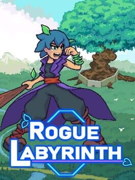 Boxart for Rogue Labyrinth
