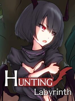 Boxart for Hunting Labyrinth