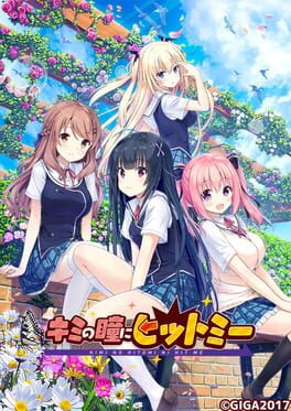 Boxart for Kimi no Hitomi ni Hit Me