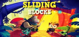 Boxart for Sliding Blocks