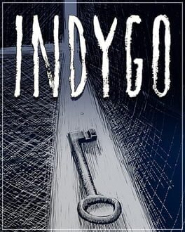 Boxart for Indygo