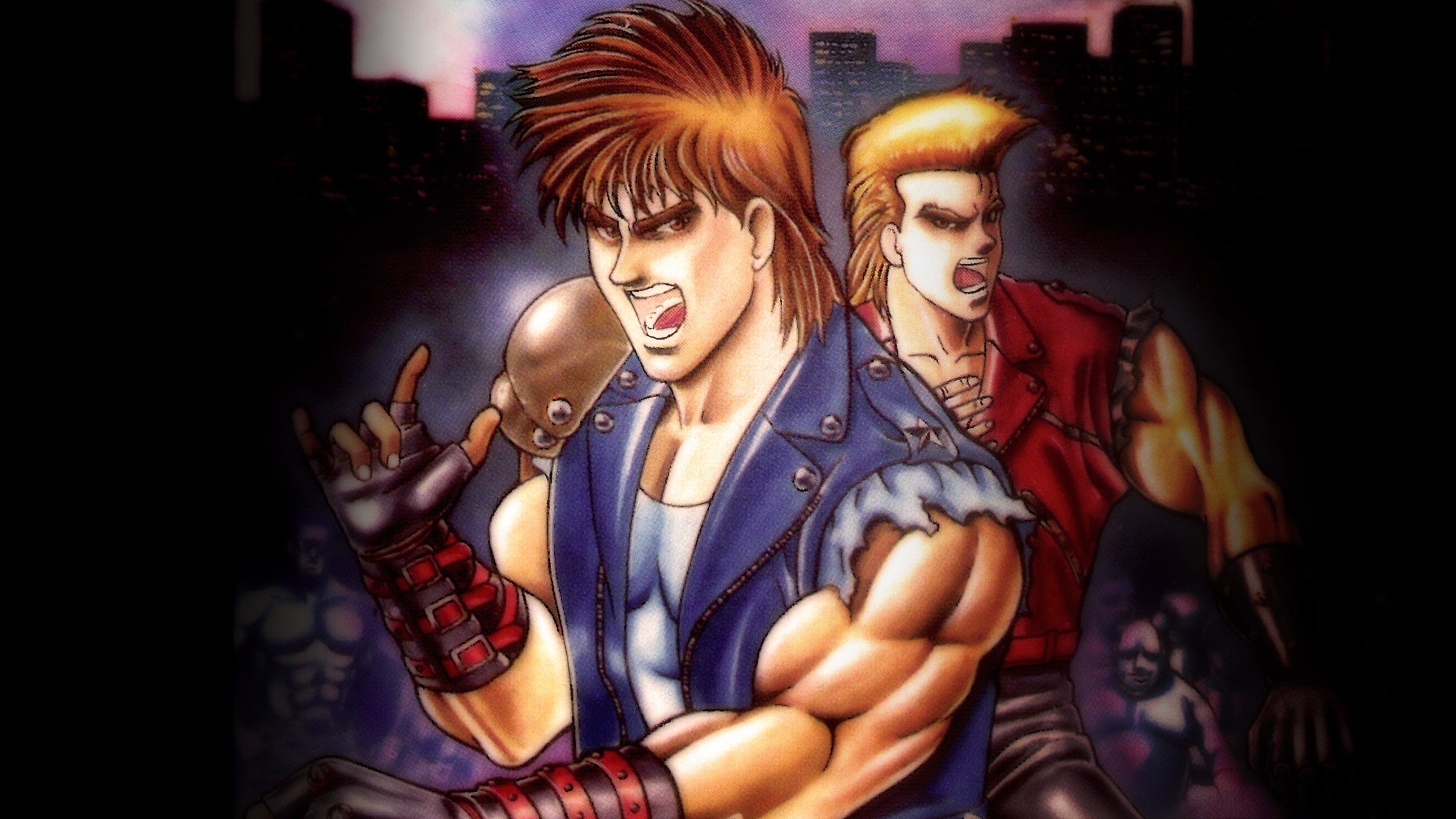 Super Double Dragon cover image