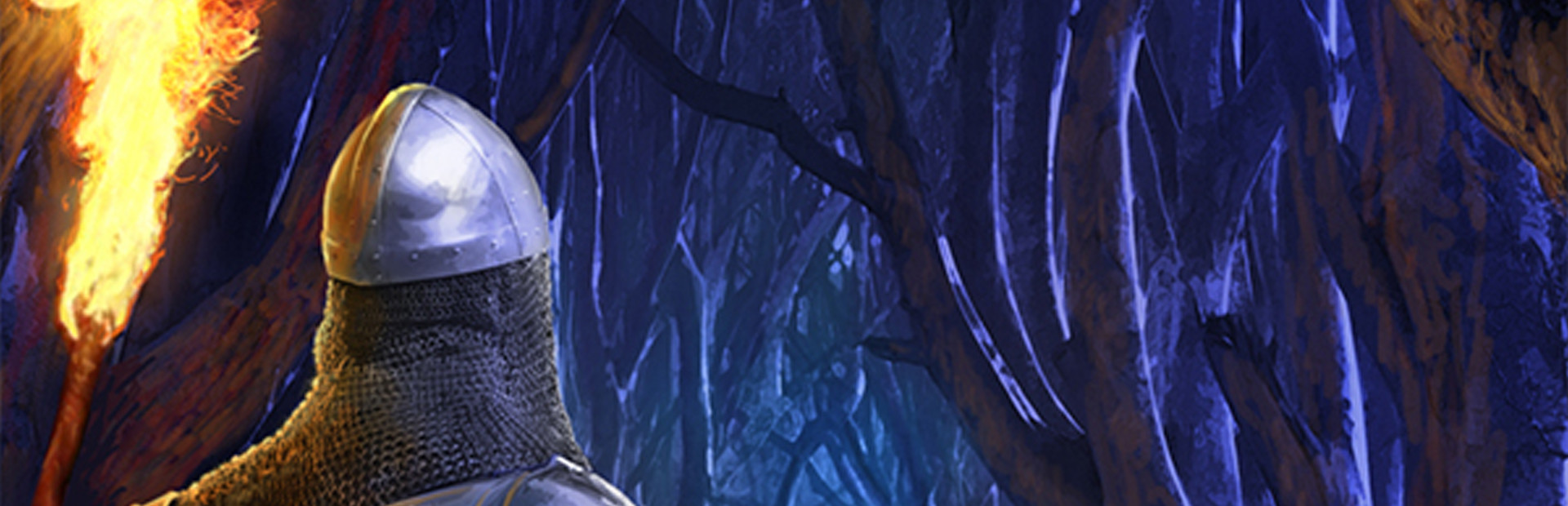 DnD Adventure: Wizard's Choice cover image
