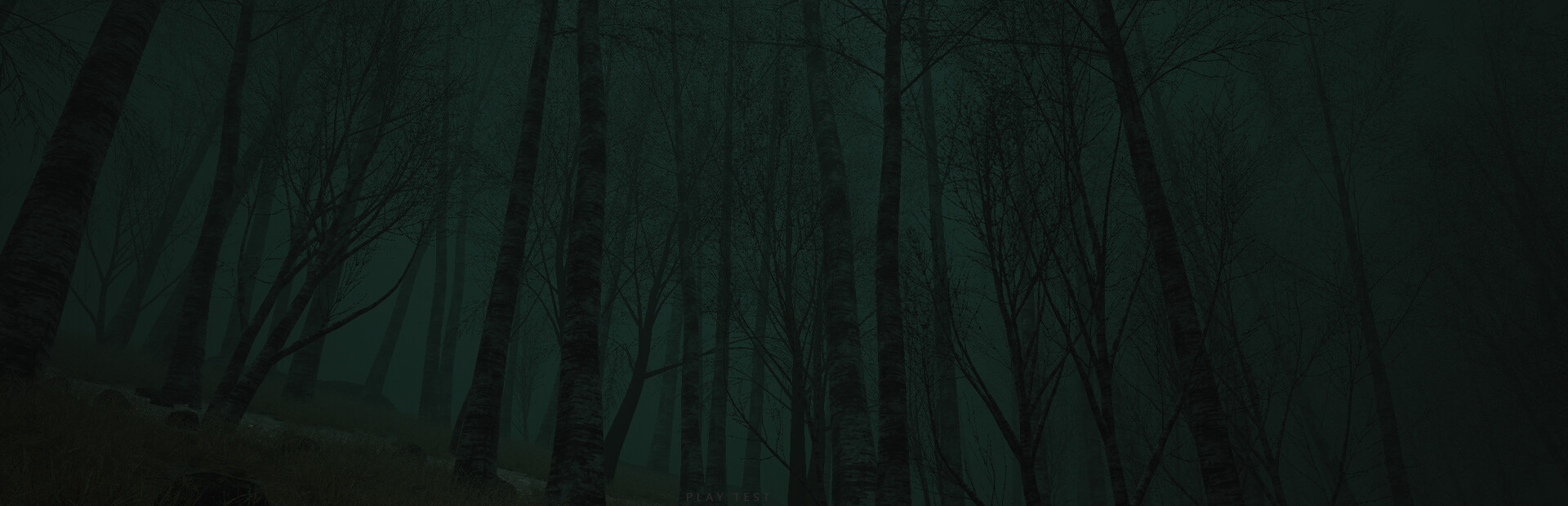 Descending The Woods cover image