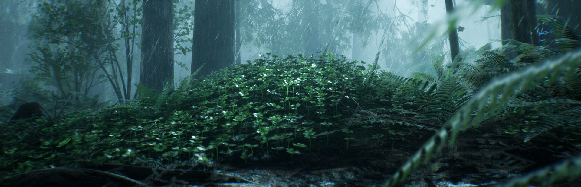 VALHALL Tests cover image