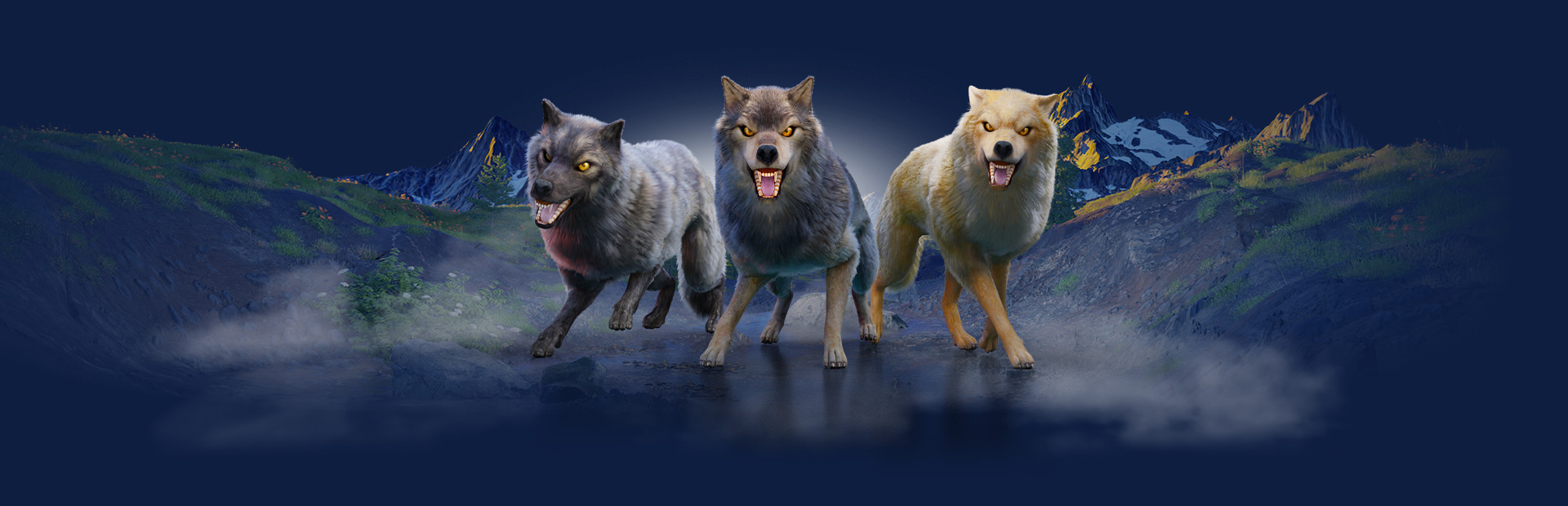 The Wolf cover image