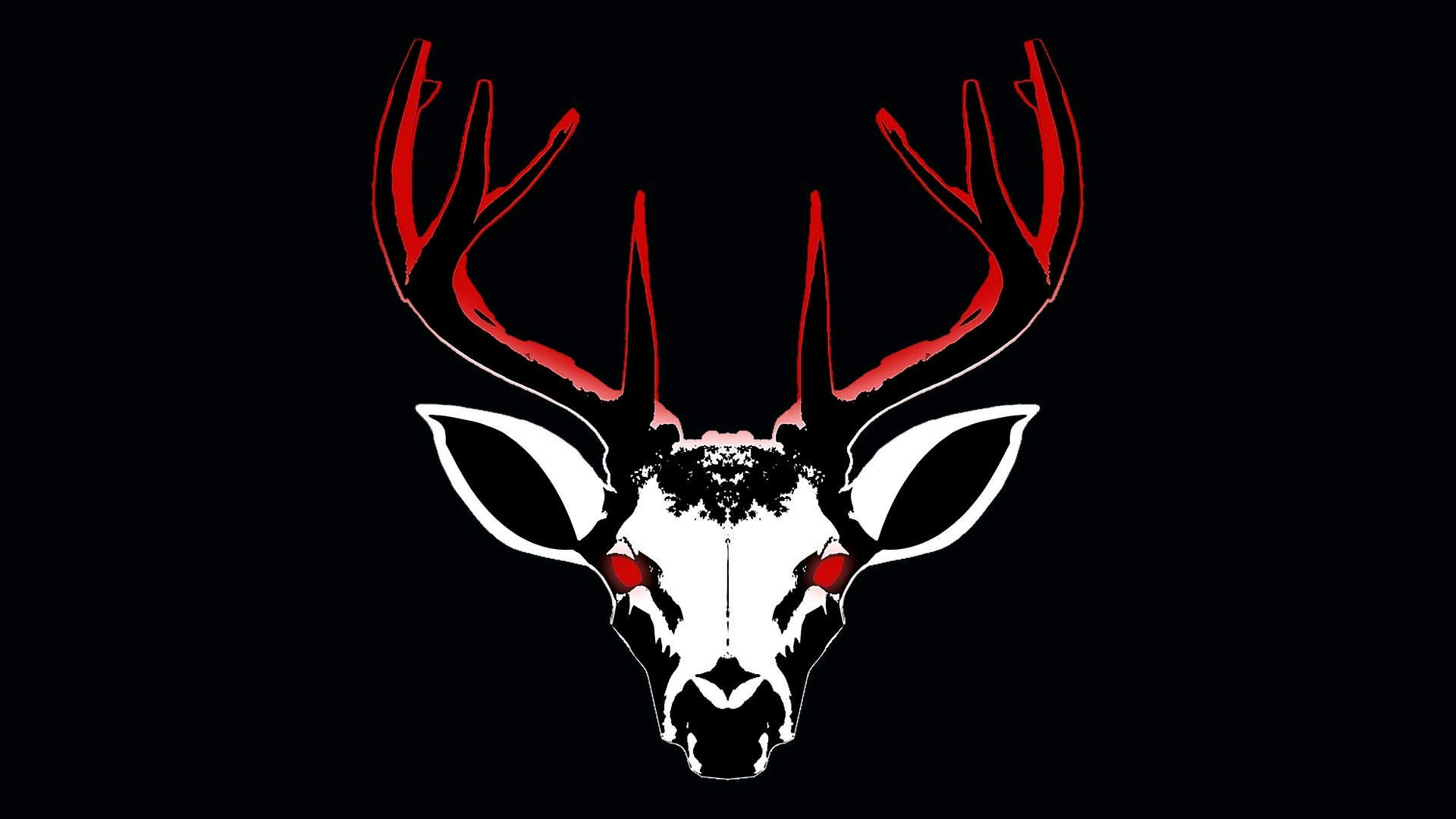 Project 13: Taxidermy cover image