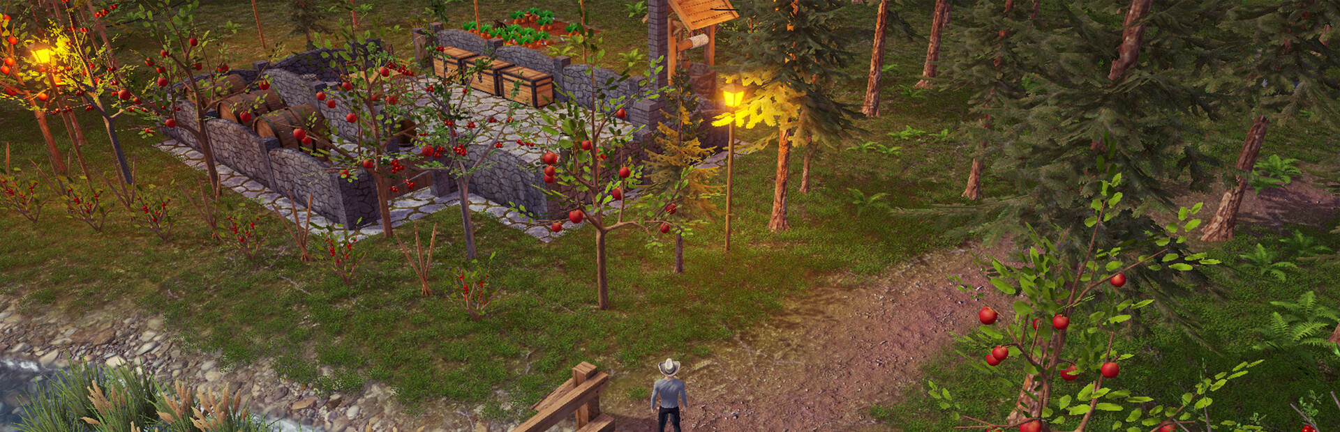 Backwoods Town cover image