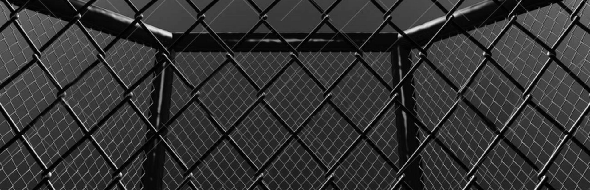 Weekend Warriors MMA cover image