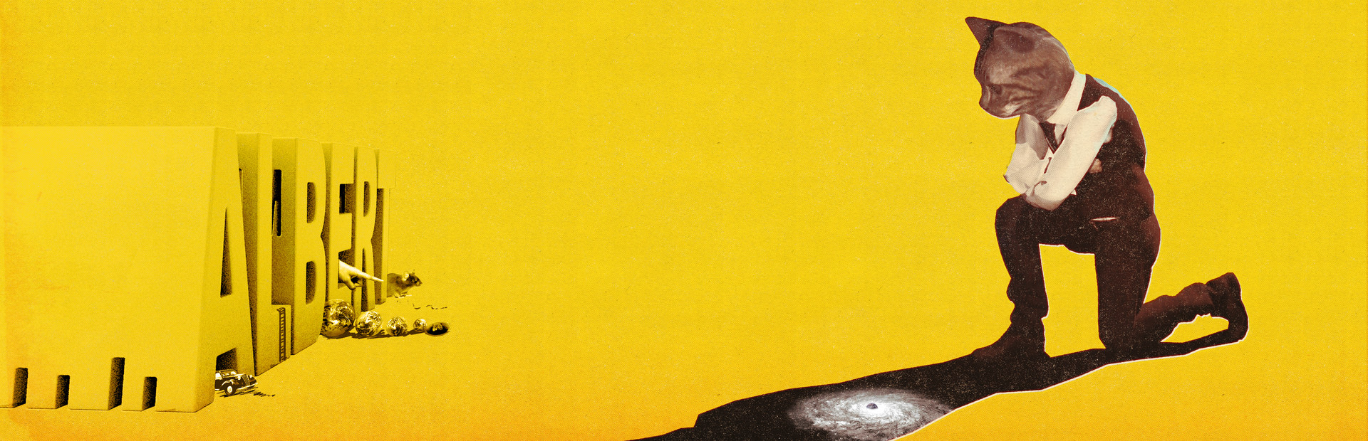 Cat Detective Albert Wilde cover image
