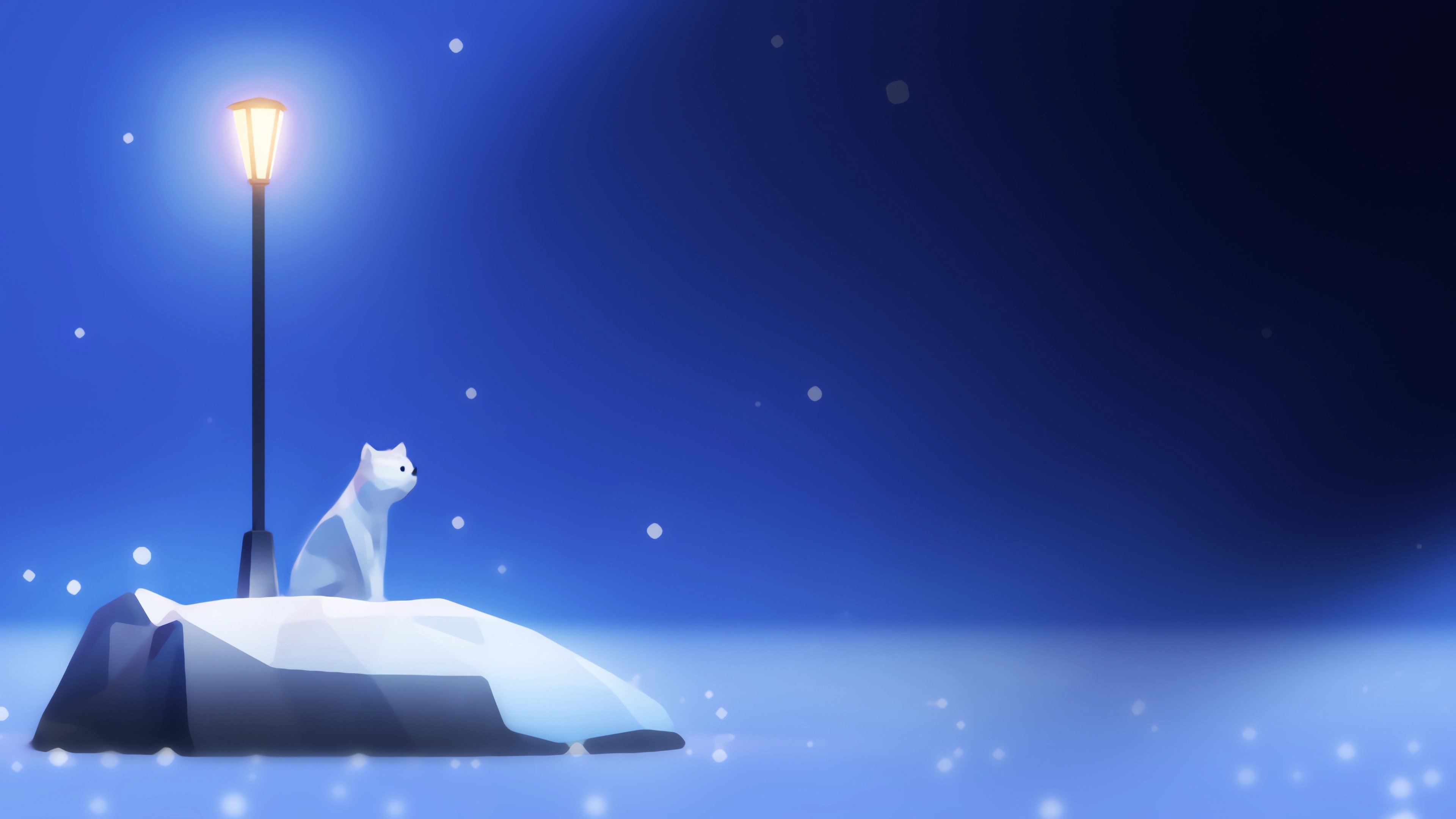 Hidden Paws cover image
