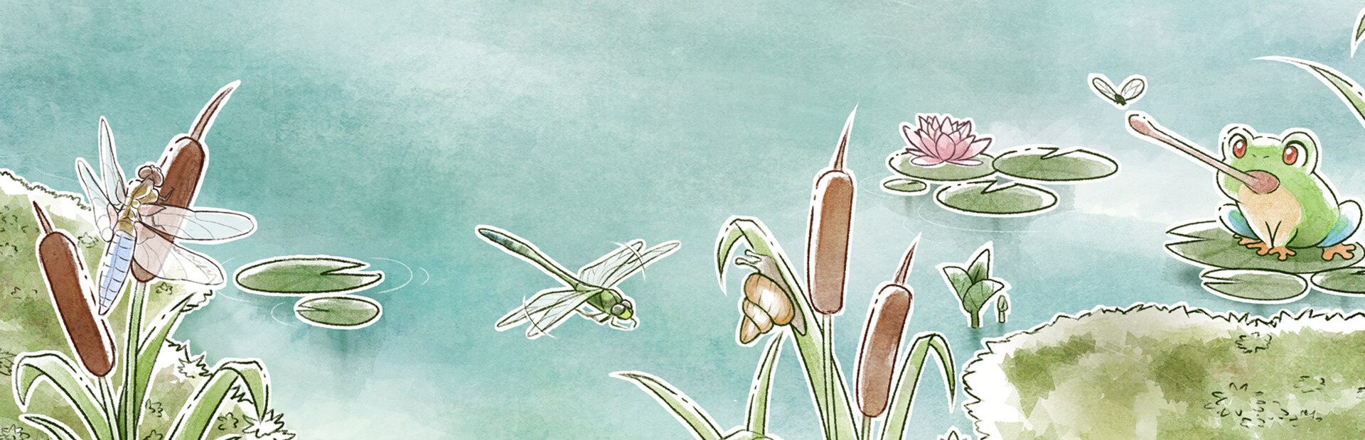 Kamaeru: A Frog Refuge Demo cover image