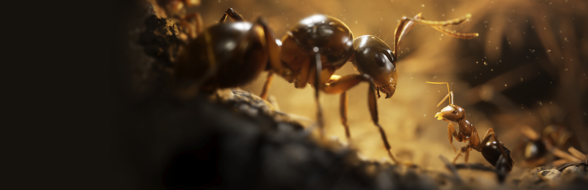 Empire of the Ants - Demo cover image