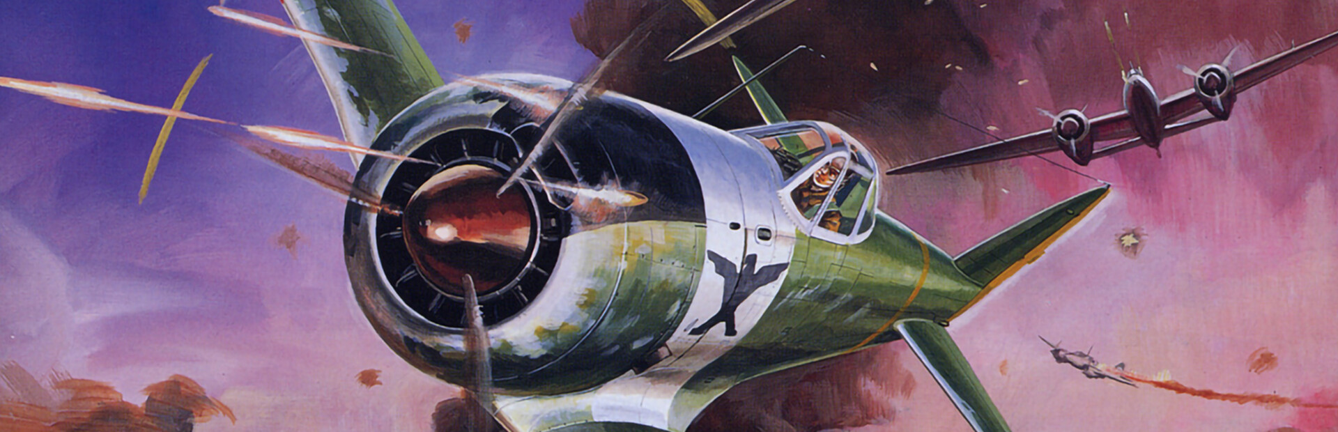 Twin Hawk cover image