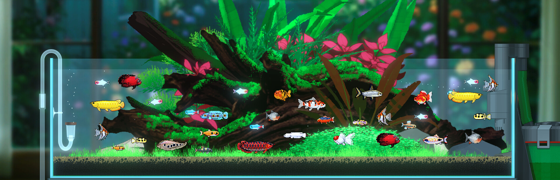 Joyquarium cover image