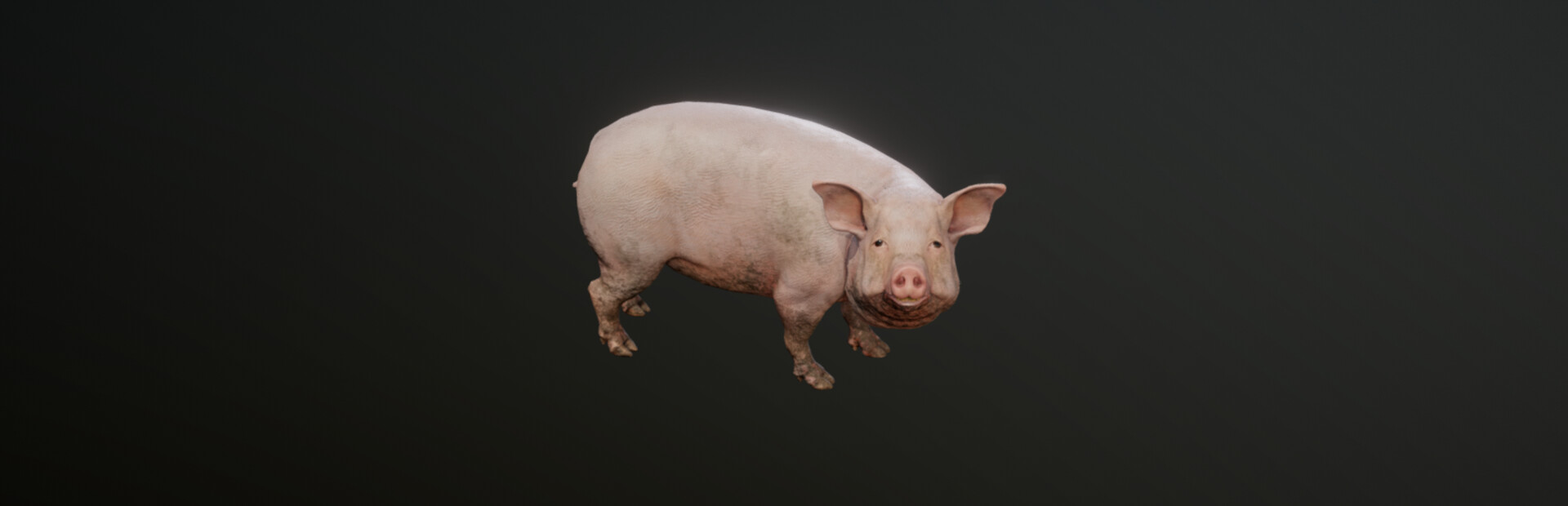 Pih cover image