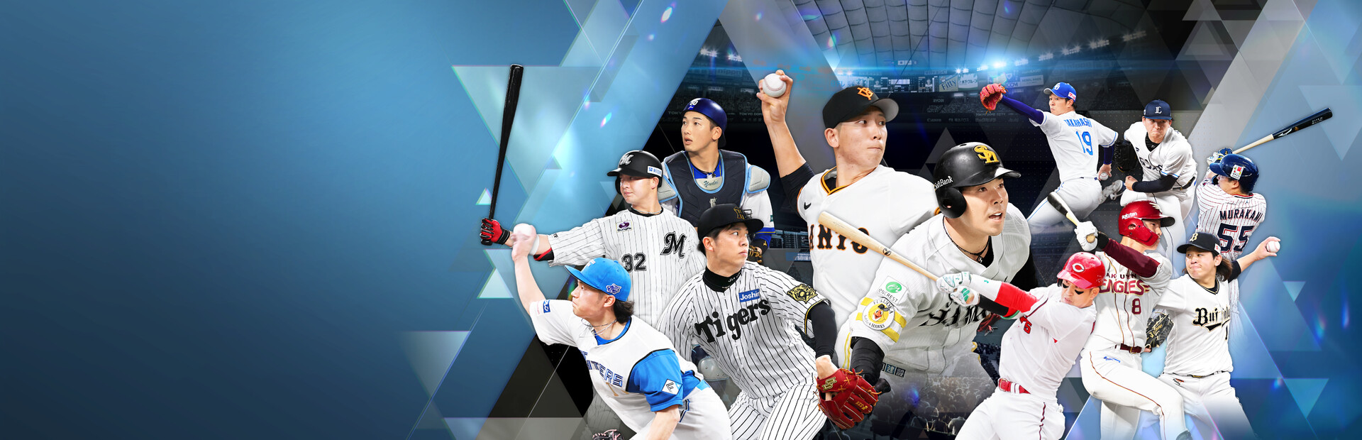 Professional Baseball Spirits 2024-2025 cover image