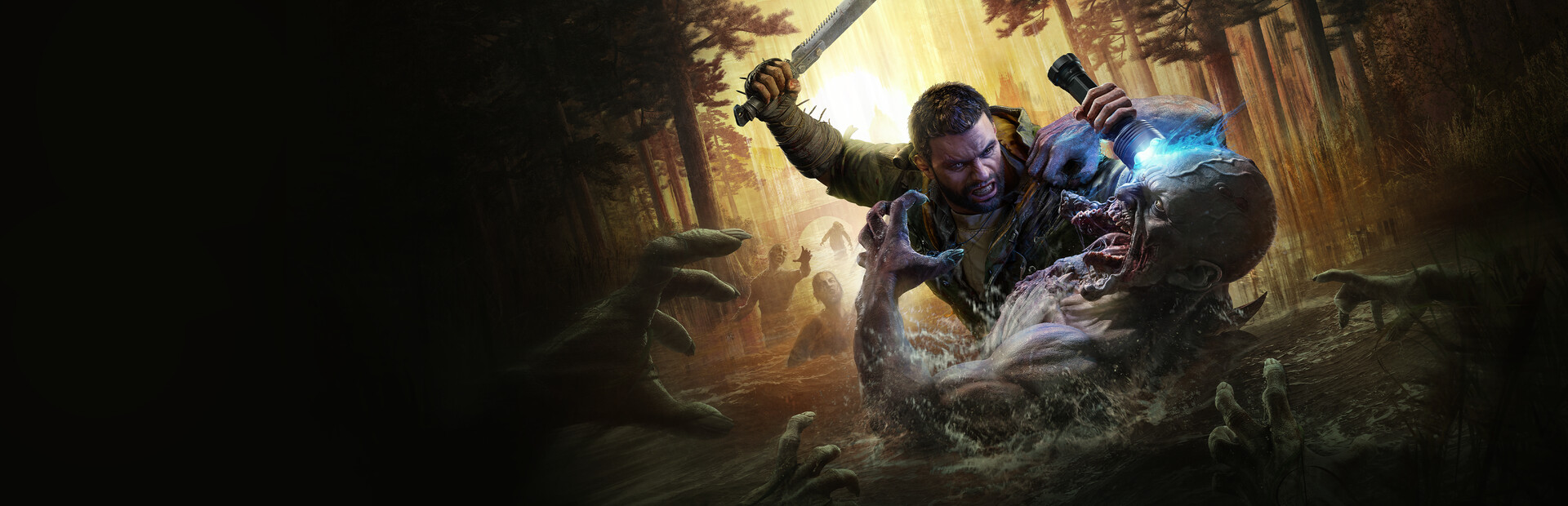 Dying Light: The Beast cover image