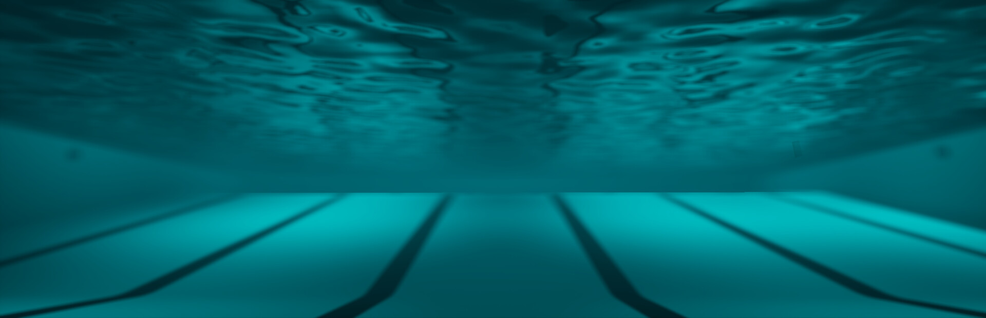 Sharks and Minnows cover image
