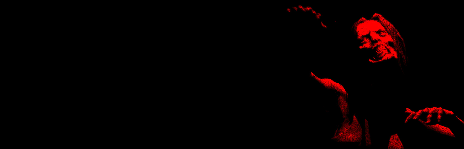 The Survey cover image