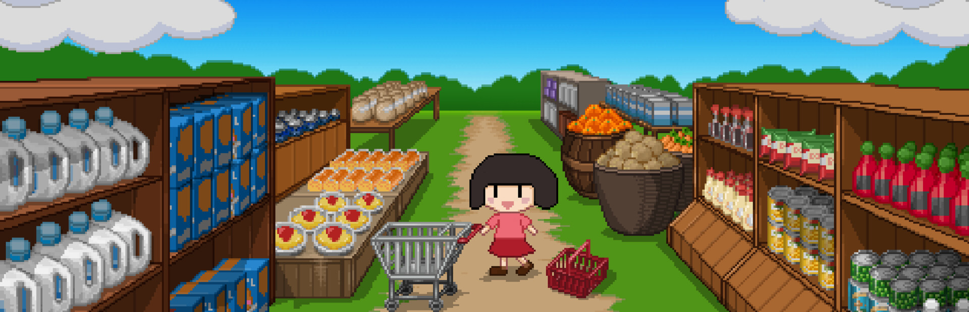 Sky End Market cover image