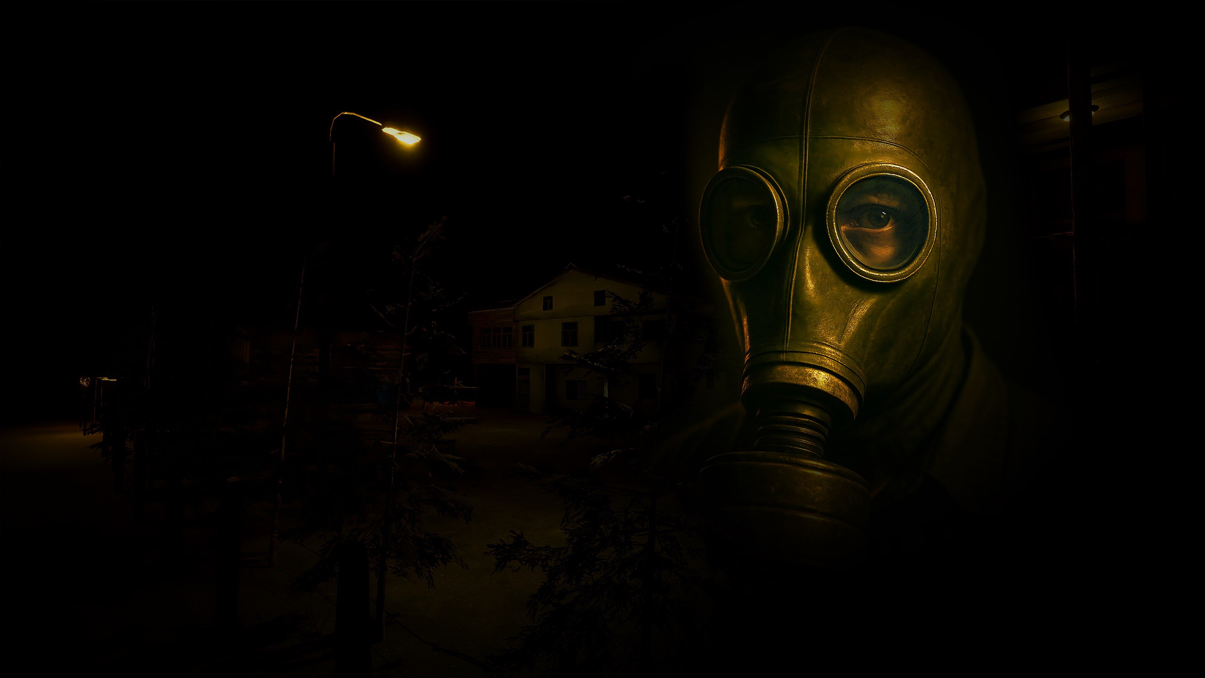 Y. Village - The Visitors cover image