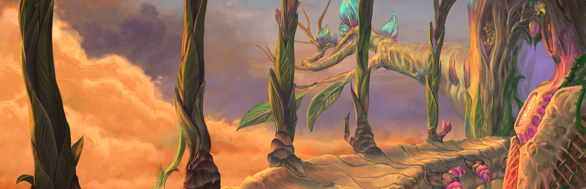 Ceiba cover image