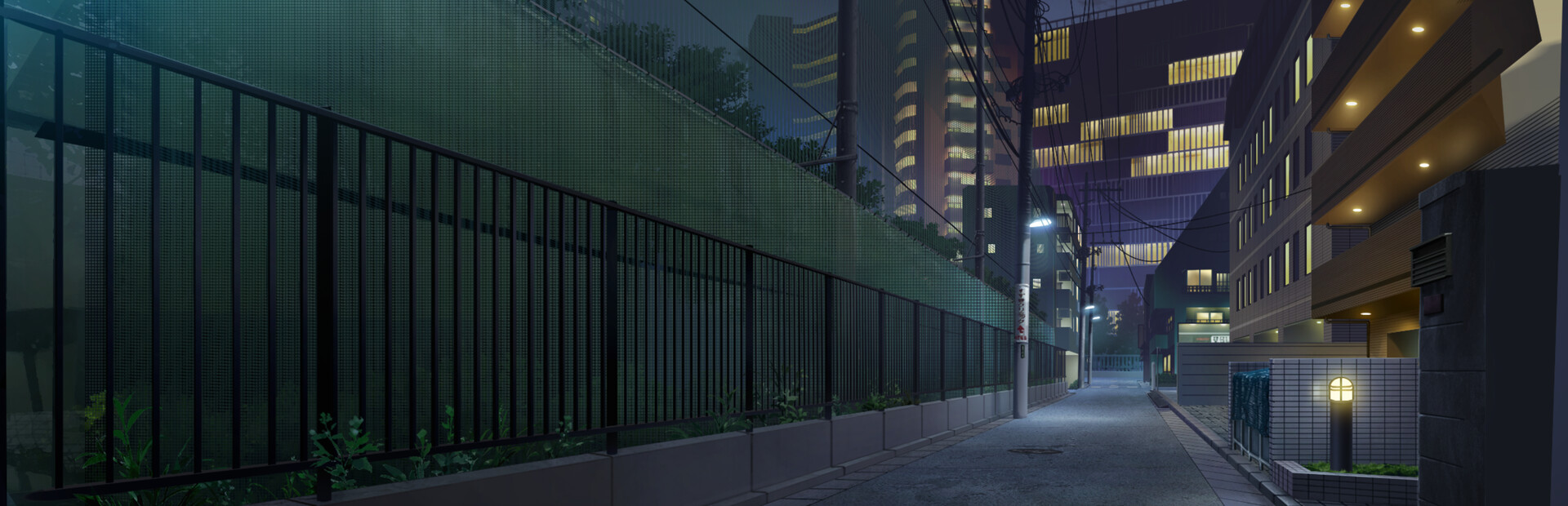 Momoka (wo) Wasshoi cover image