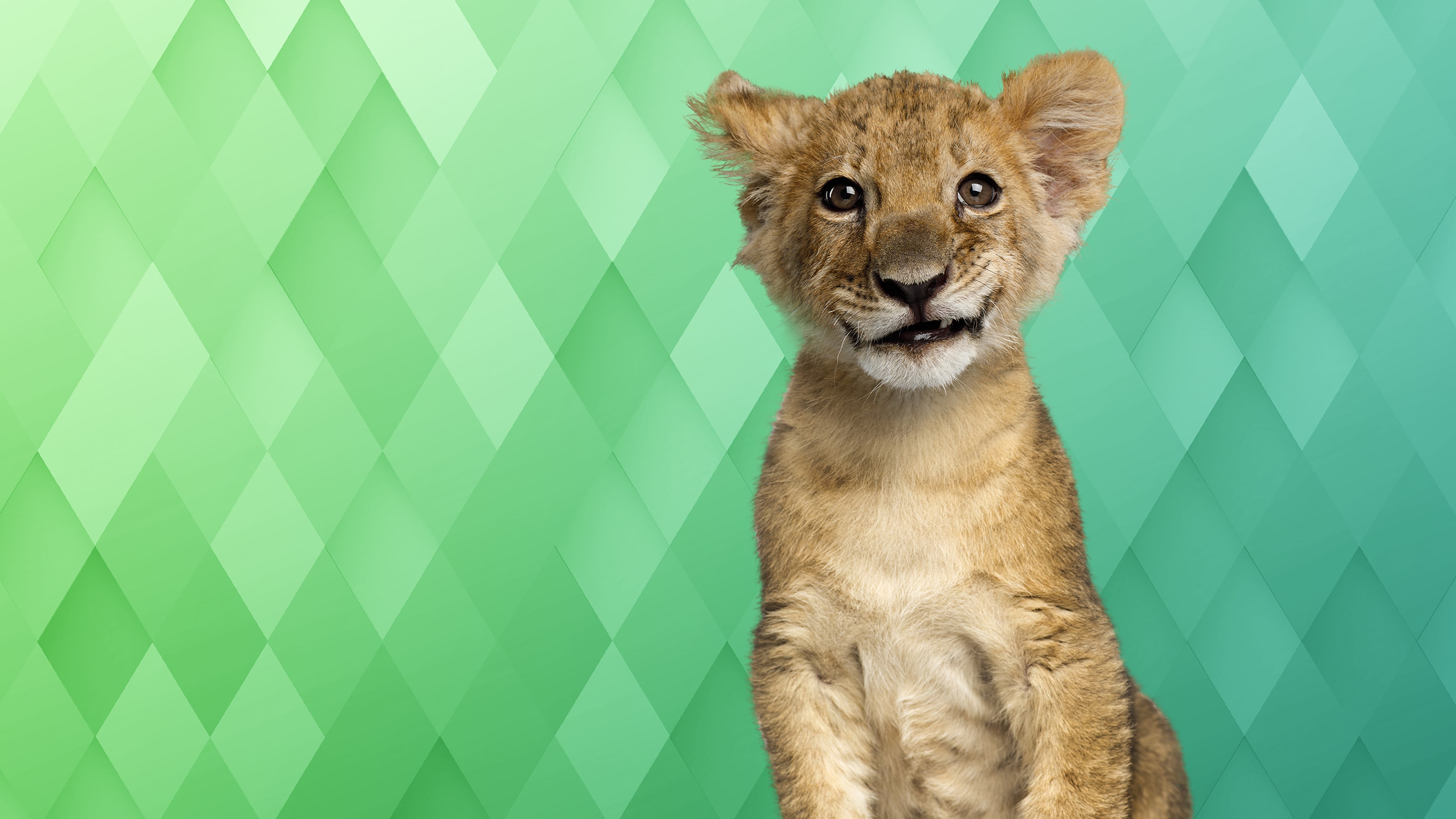 I love Finding Wild Friends Collector's Edition cover image