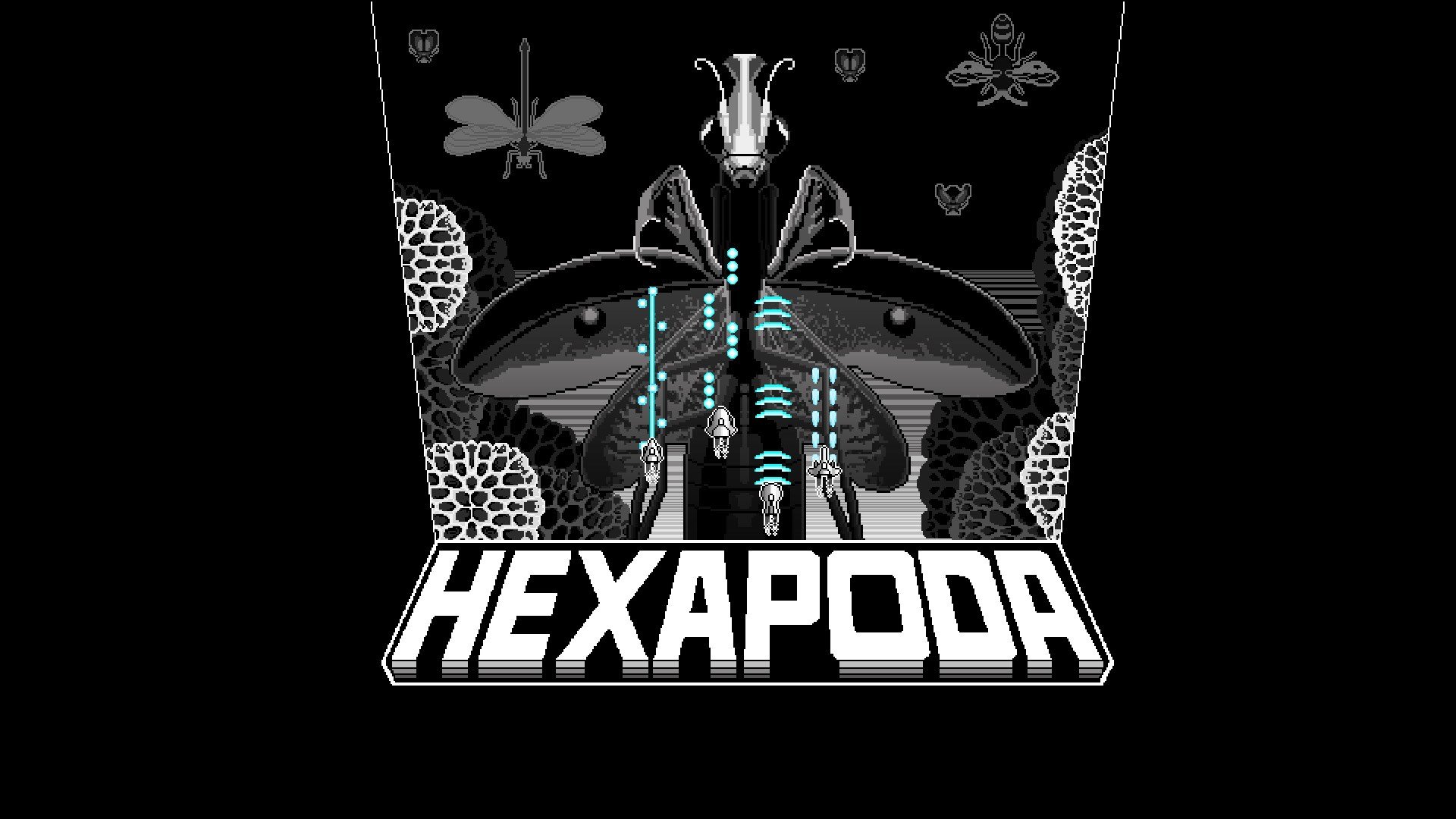 Hexapoda cover image
