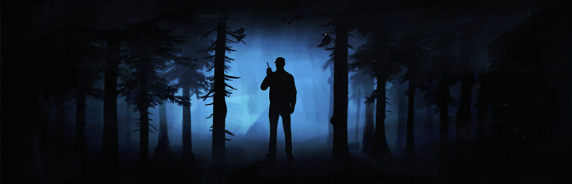 Radiolight cover image