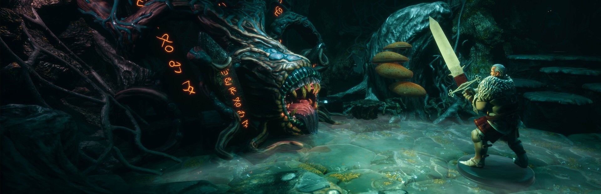 Successor cover image