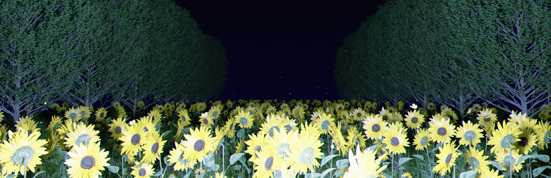 杀青:序章 cover image