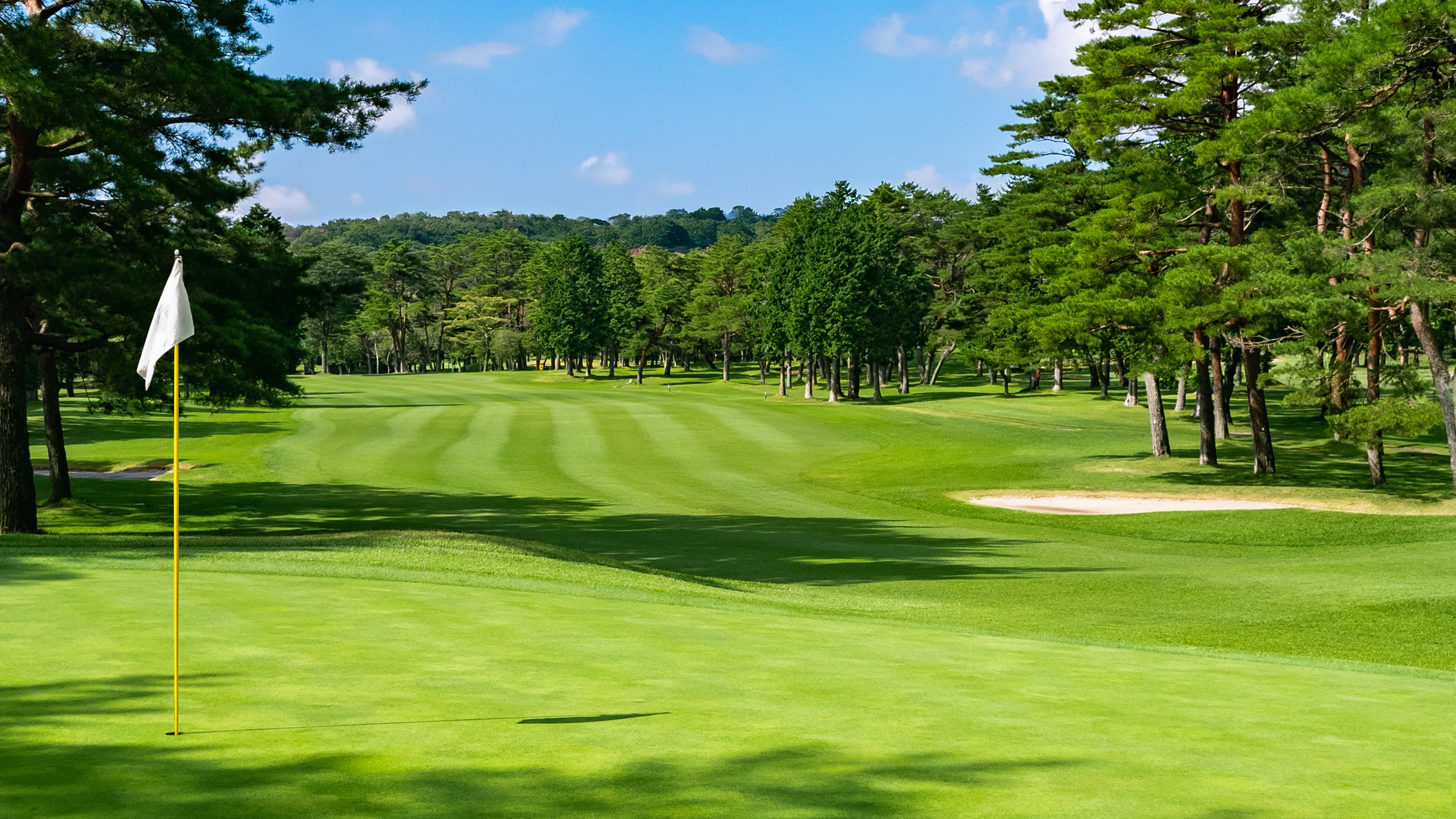 Golden Tee Arcade Classics cover image