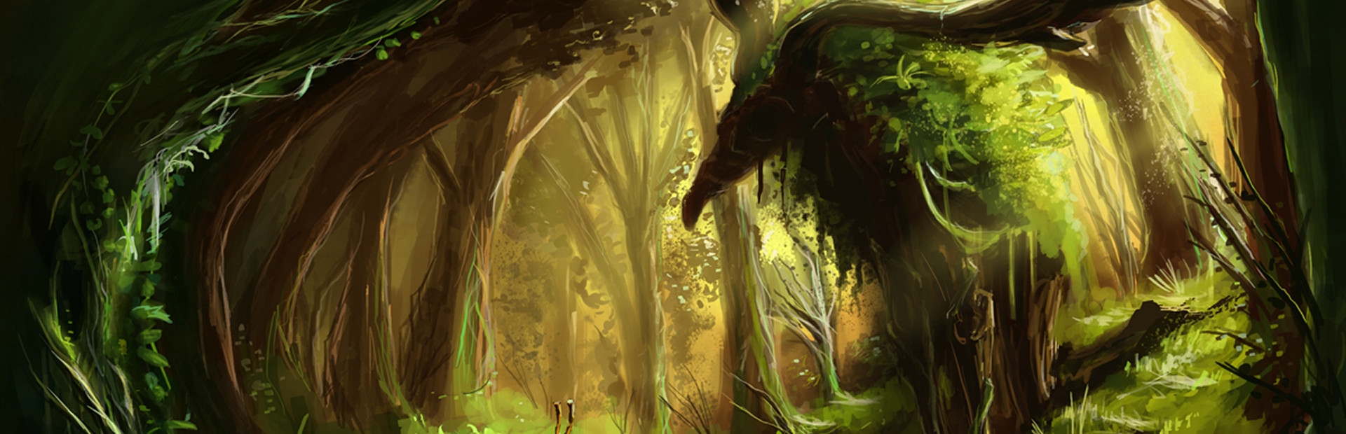 Helvetii cover image