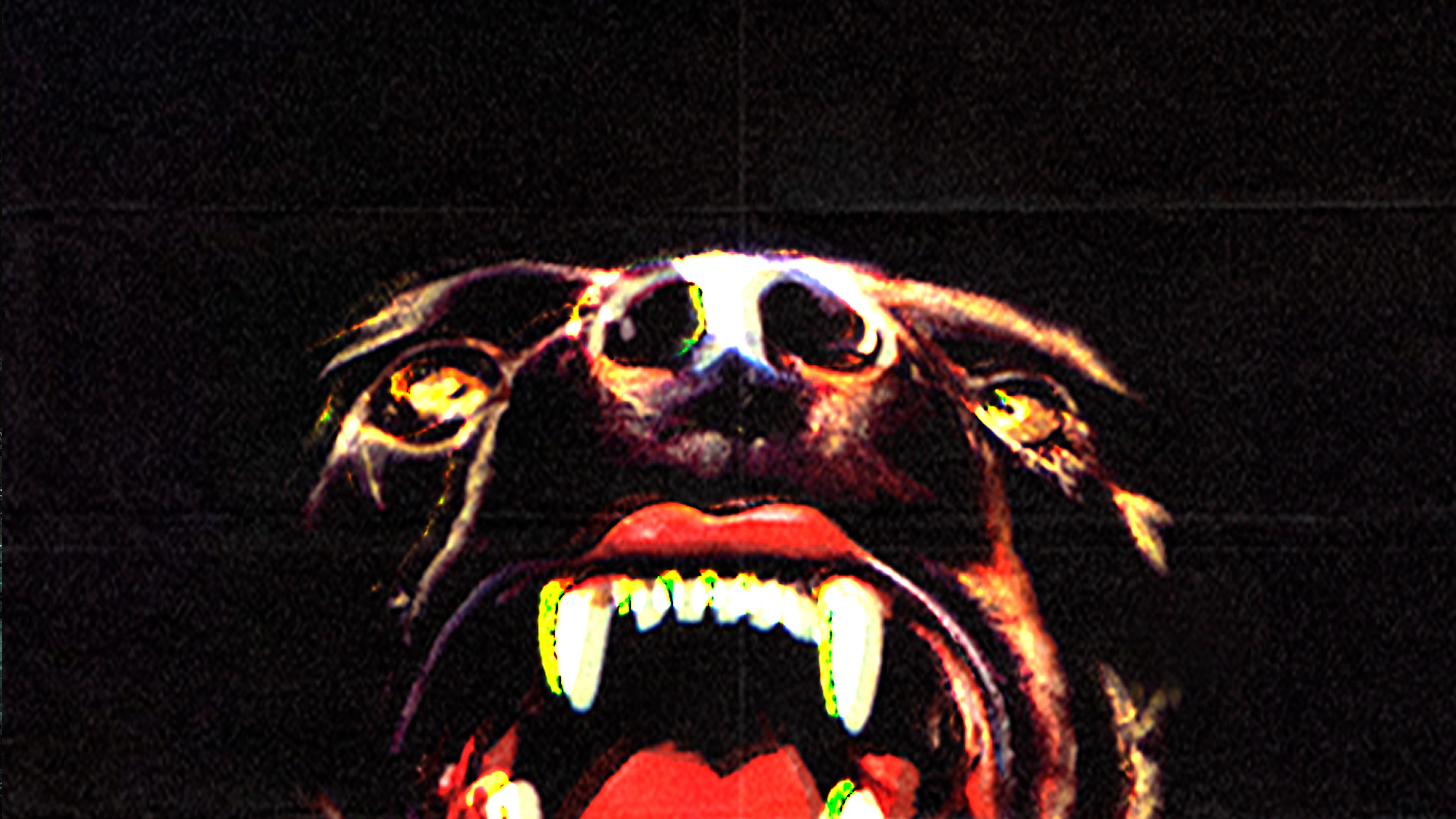 Canine cover image