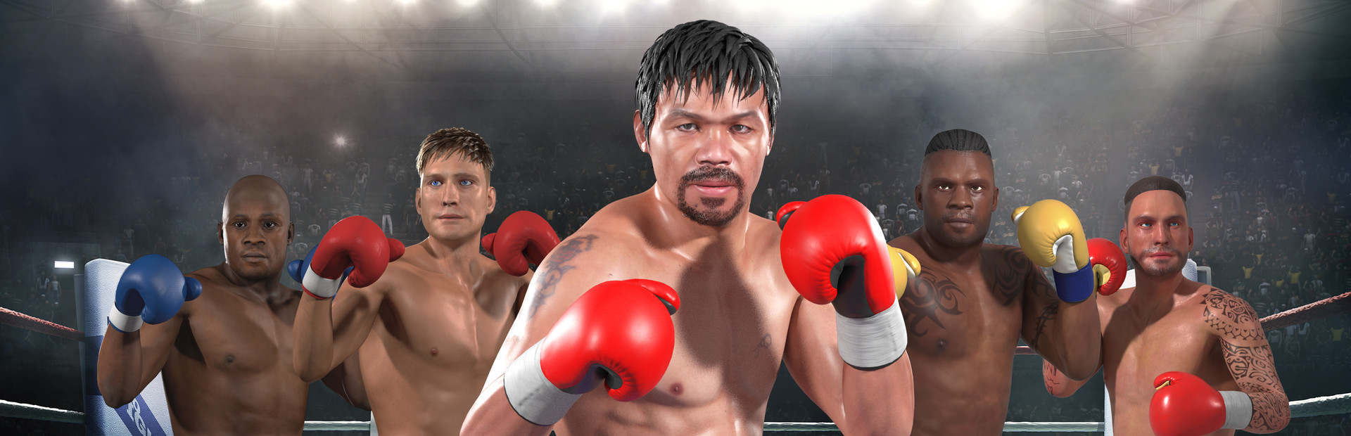 Manny Boxing VR cover image