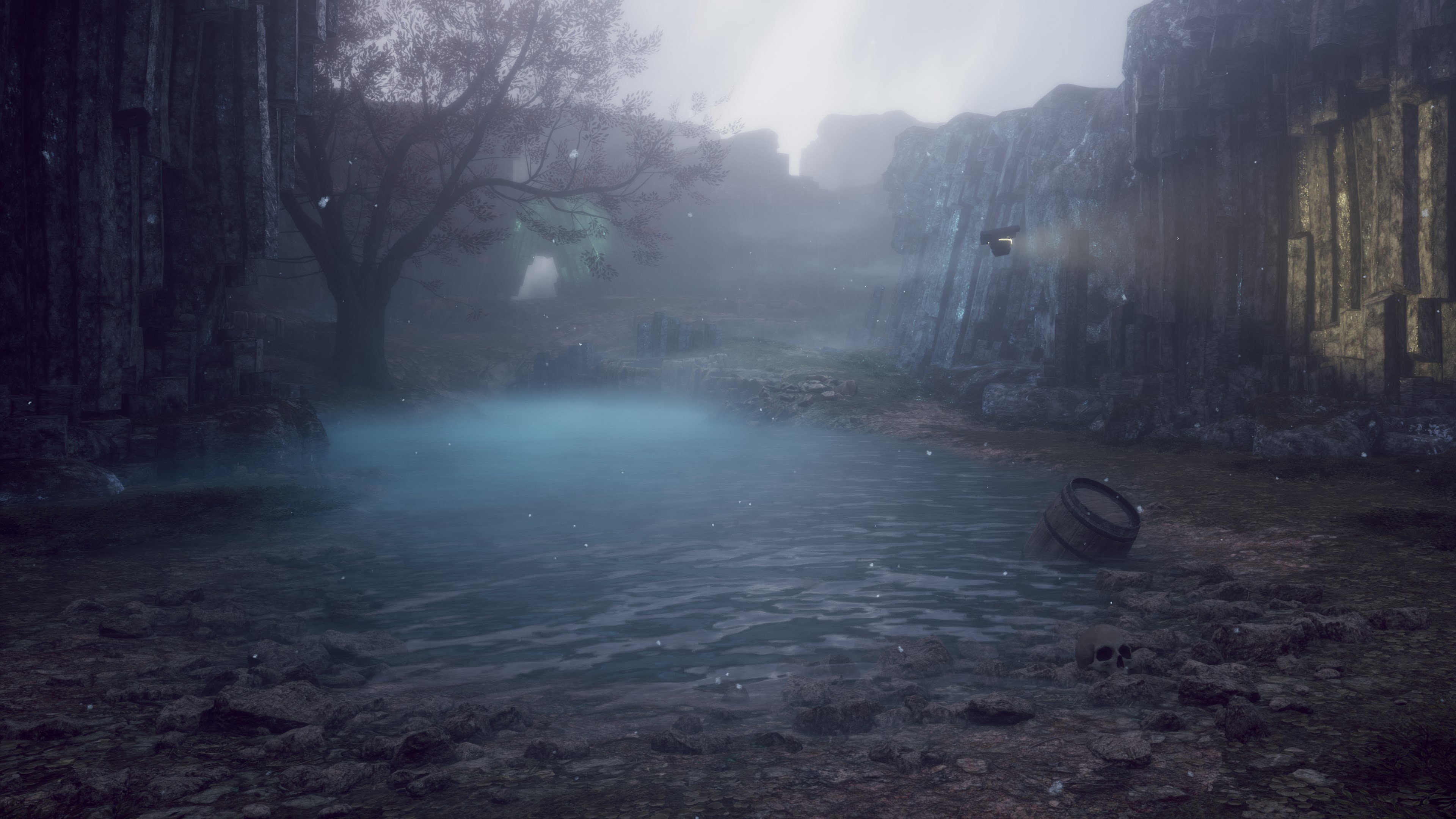 Drizzlepath: Picturae cover image